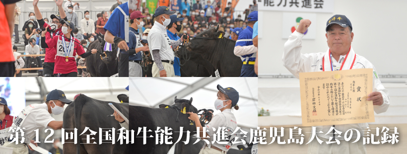 全共の記録バナー