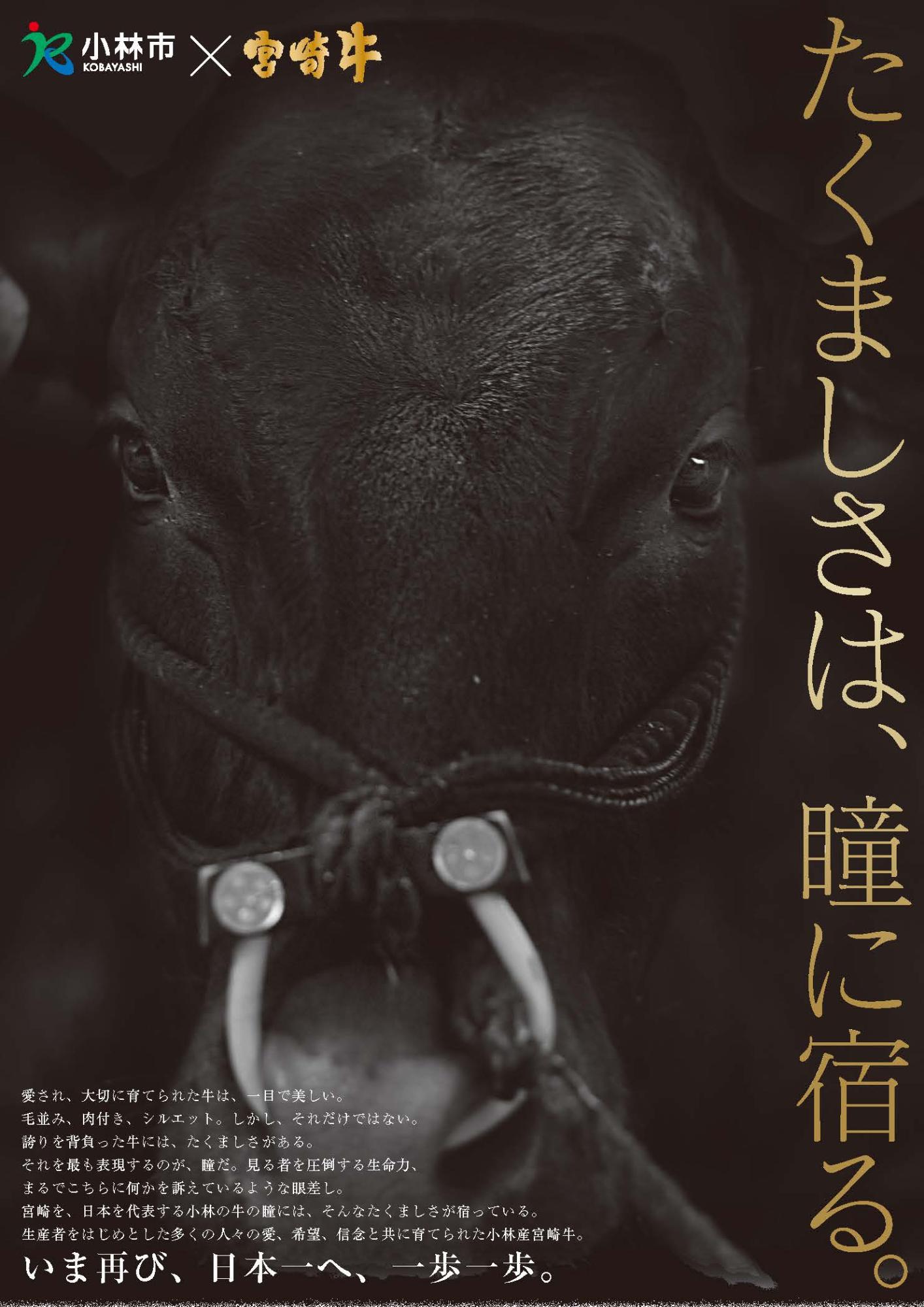 広報こばやし特別号表