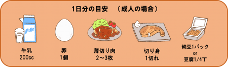 1日分の目安(成人の場合)牛乳200cc、卵1個、薄切り肉2~3枚、切り身1切れ、納豆パックor豆腐1/4丁