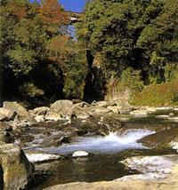 緑の木々に囲まれた三之宮峡で、岩肌と川の水しぶきが写っている写真
