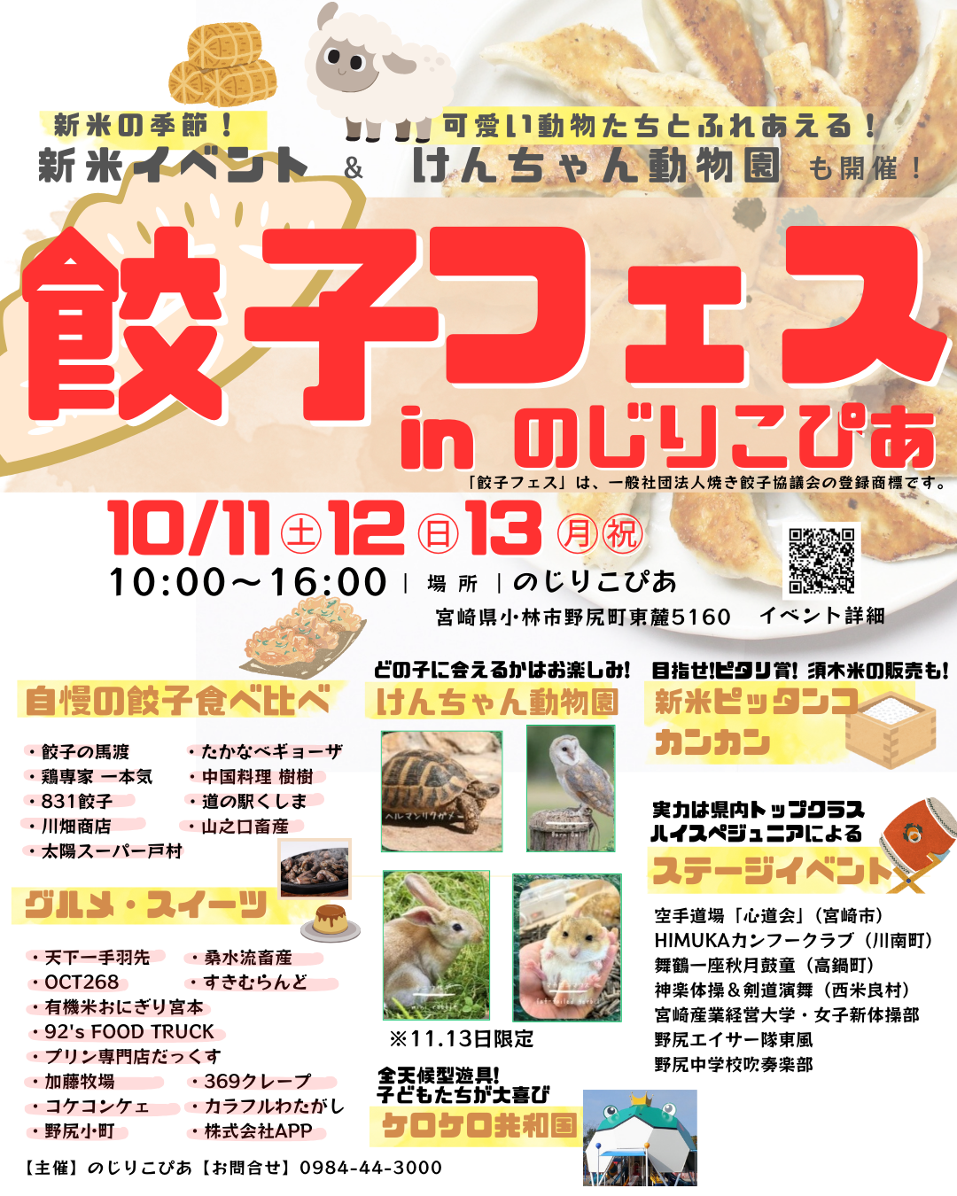 餃子フェスin のじりこぴあチラシ