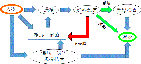 事業内容