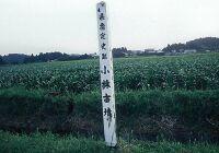 濃い緑の平原の傍に「小林古墳」と書かれた細長い板が立っている写真