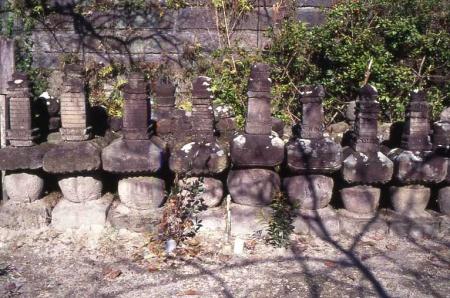 木陰で横一列に並んだ穂屋下古石塔群の写真