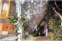 自然の中にある洞穴内に木製の箱、献花、碑文などが写っている写真