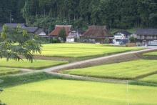 田園が設置されており、奥に家屋が見える里山風景の写真