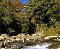 深い木立や橋、川面と岩が写る三之宮峡の風景写真