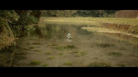 透き通った川の浅瀬が映るスクリーンショット