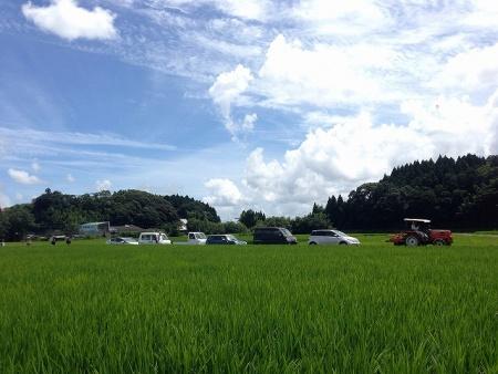 青い空の下田んぼ脇の道でトラクターが渋滞を起こしている様子の写真