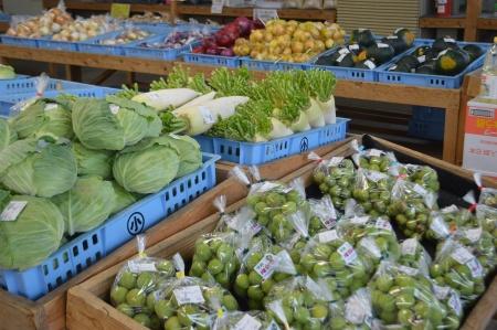 キャベツや大根など様々な野菜がカゴに並んで売り場に出されている写真