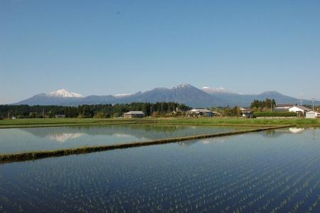 青い空が映り込む広い田んぼの写真