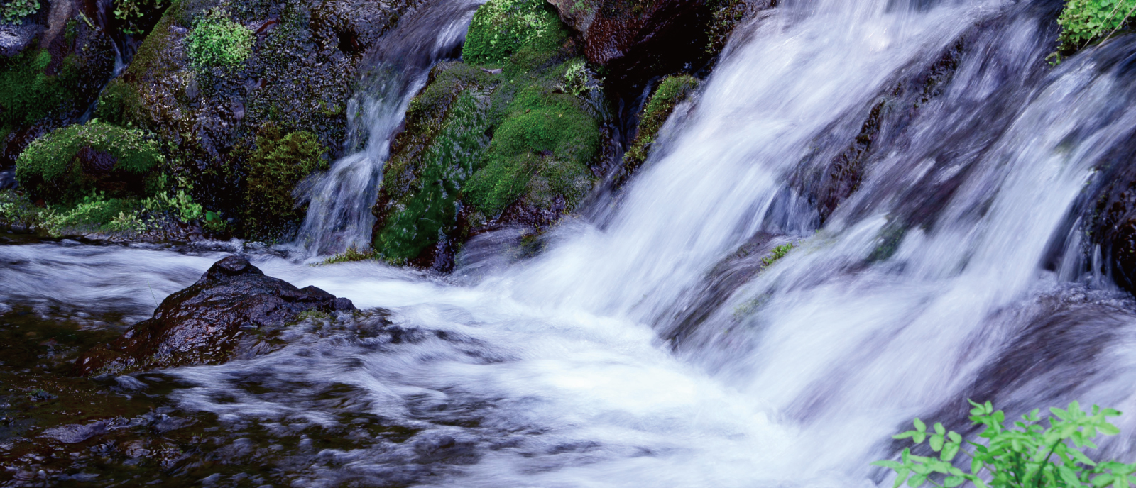 小林の湧水