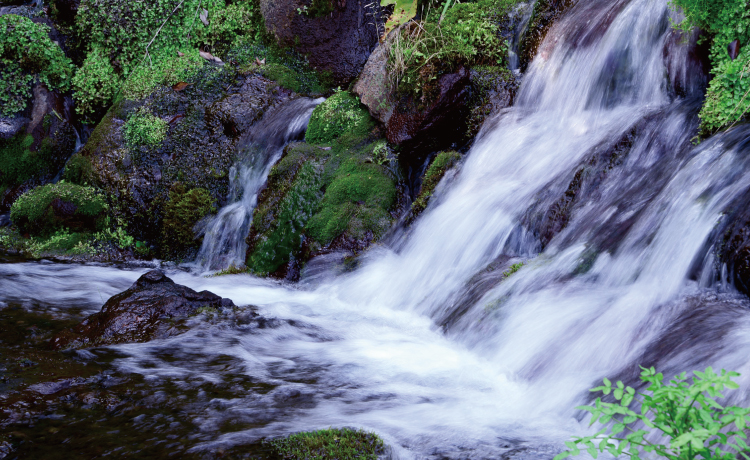 小林の湧水