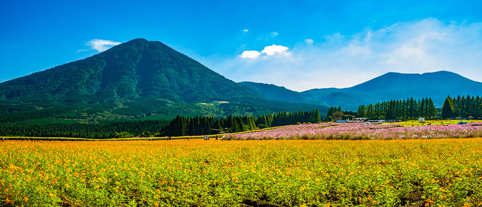 小林市の風景