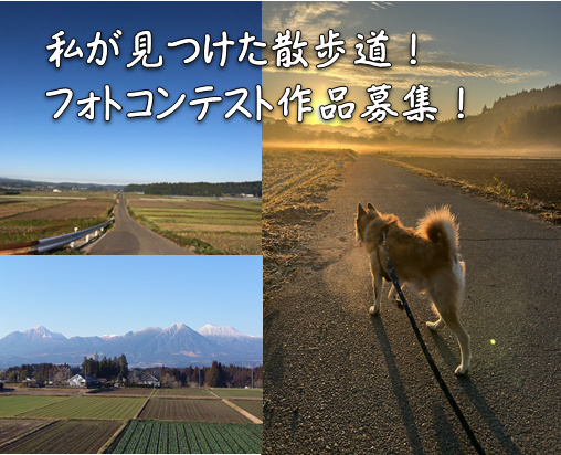 「私が見つけた散歩道！フォトコンテスト」作品募集について