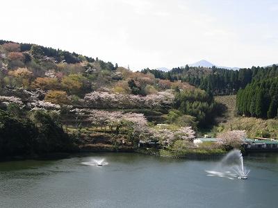 大きな池と色づき始めた木々を一望できる出の山公園の風景写真