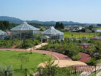 ビニールハウスがいくつも並んだ庭園内をやや上空から撮影した写真