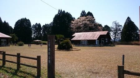 木製の柵と小屋、芝生が広がっている写真