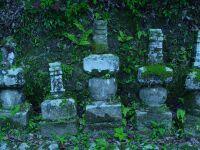 苔の生えた地面に囲われた米良筑後守の墓の写真