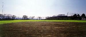 芝生がひかれている晴れの日の小林総合運動公園の多目的広場の全体の写真