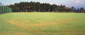 サッカーなどさまざまな種目に利用できる小林総合運動公園の展望広場の全体の写真