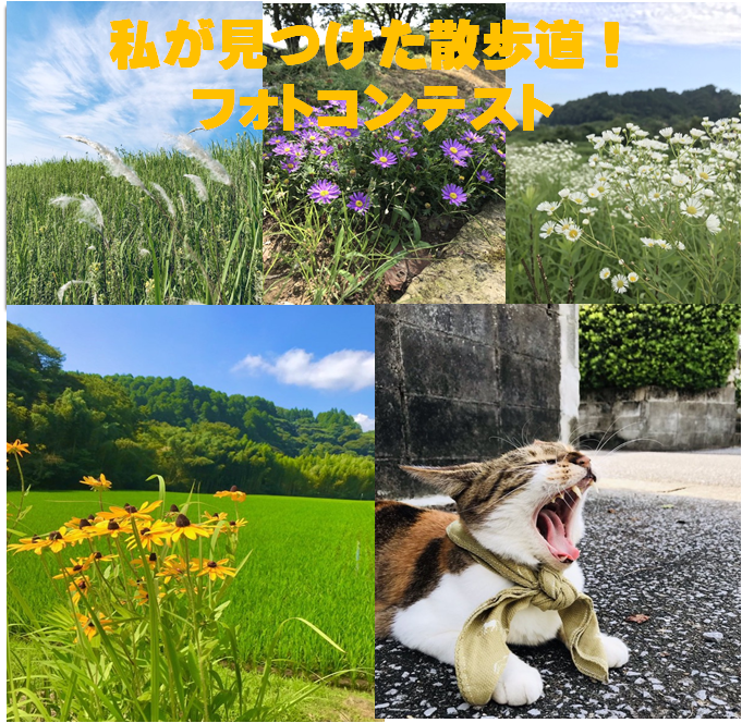 私が見つけた散歩道！フォトコンテスト