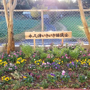 永久津いきいき協議会_02