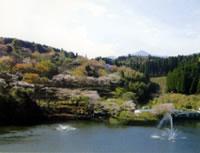 青空と池と出の山が写った風景写真