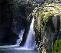 白い飛沫をあげて流れ落ちる滝と苔の生えた岩肌の写真